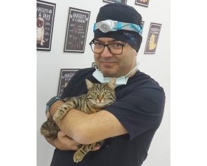 Veteriner Hekim N.Gürkan Gülanber