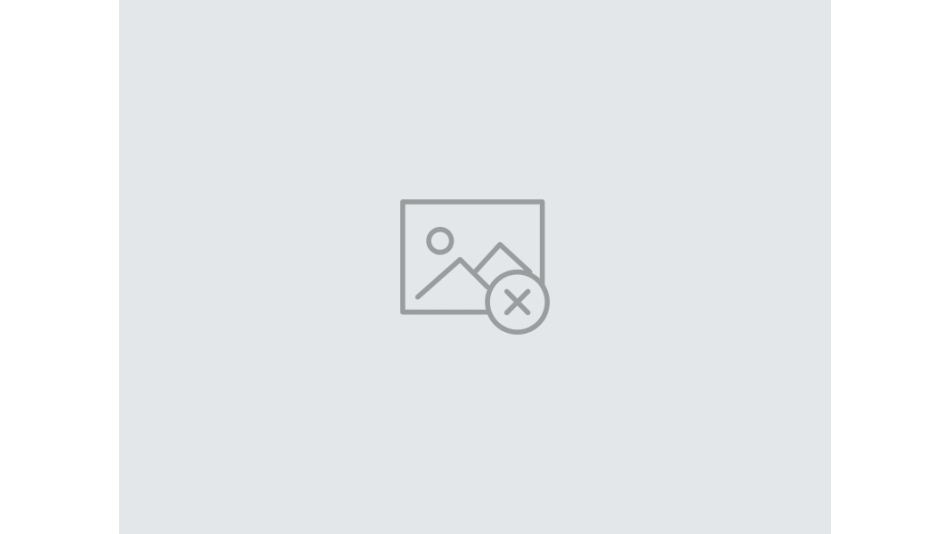 Evcil hayvanlar için de yaşam kalitesi önemli