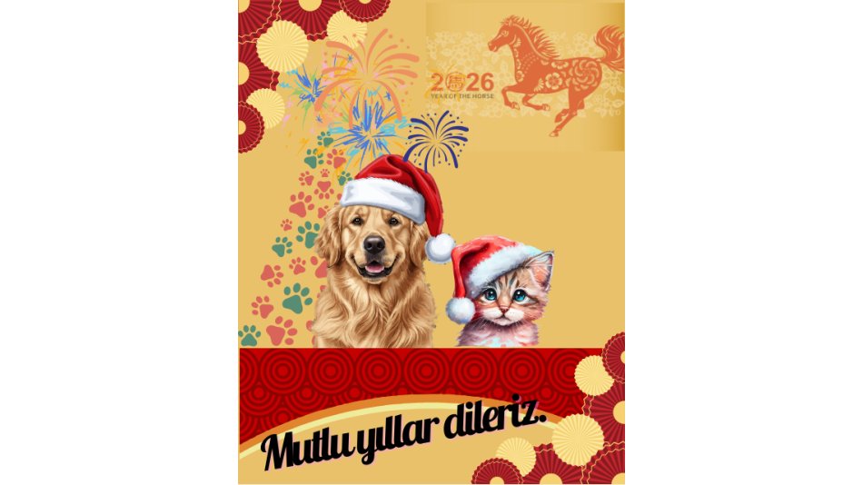 Yeni Yılınızı Kutlarız.