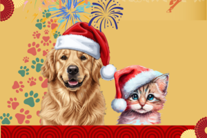 Yeni Yılınızı Kutlarız.