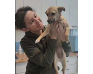 Veteriner Hekim Z.Sinem Karslı Parmaksızoğlu