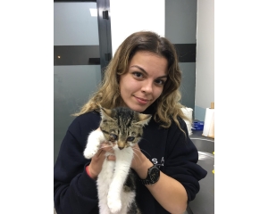 Veteriner Hekim İlayda Şen