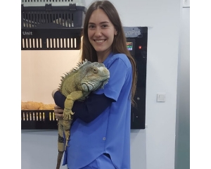 Veteriner Hekim Pelin Altın Yıldırım