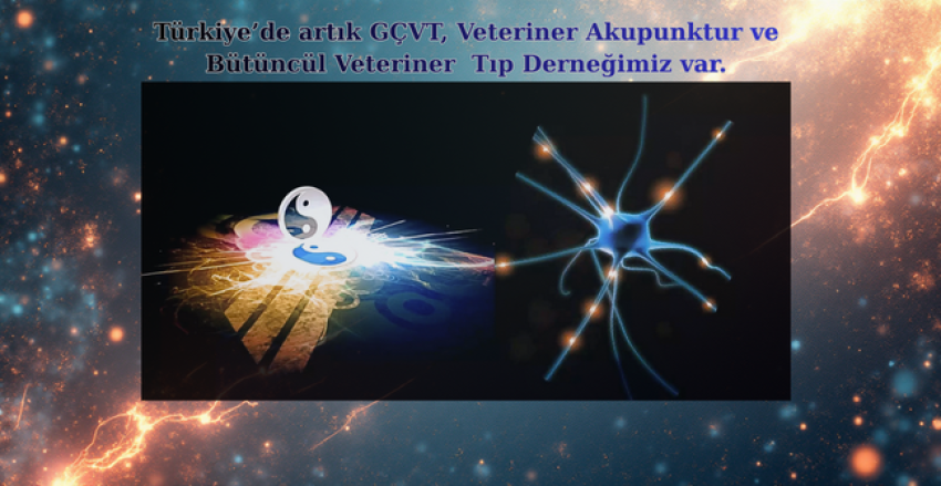 17.12.2025 tarihinde Türkiye'de GÇVT, Veteriner Akupunktur ve Bütüncül Veteriner Tıp Derneği Kuruldu. 