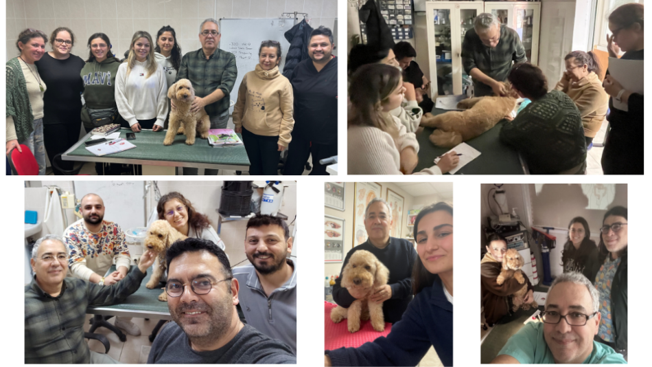 Sizi de aramızda görmek istiyoruz